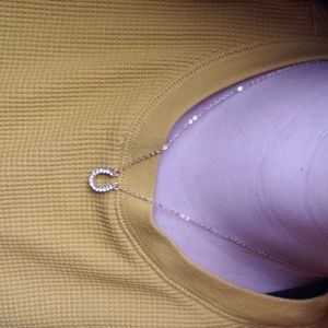 $1 Horseshoe Necklace *H7